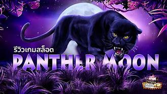 Panther Moon Modal 20 Juta Harga